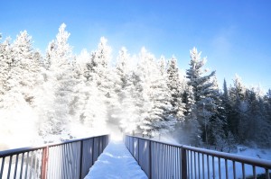 Winter Winter